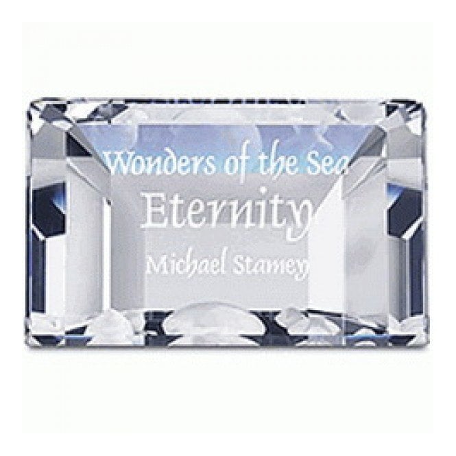 Swarovski SCS Eternity Title 2006 Plaque 855626