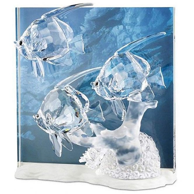 Swarovski 2007 Clear Community 854651