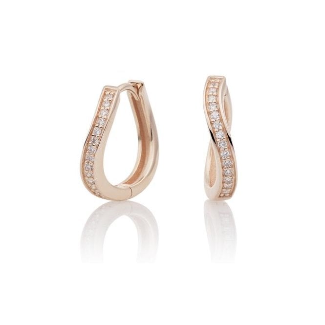 Sparkling Jewels Flare Zirconia Earrings EAG02