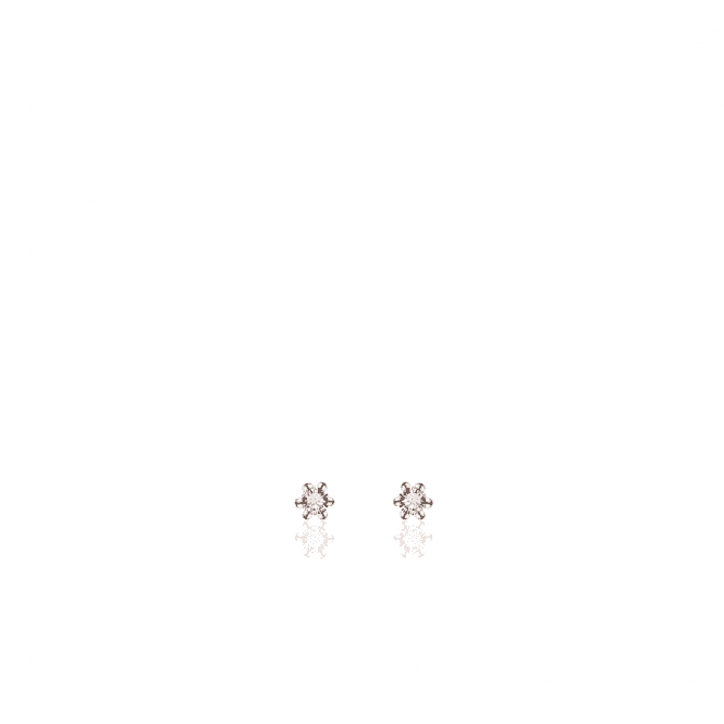 MCN Jewellery Rose Plated Cubic Zirconia Stud Earrings