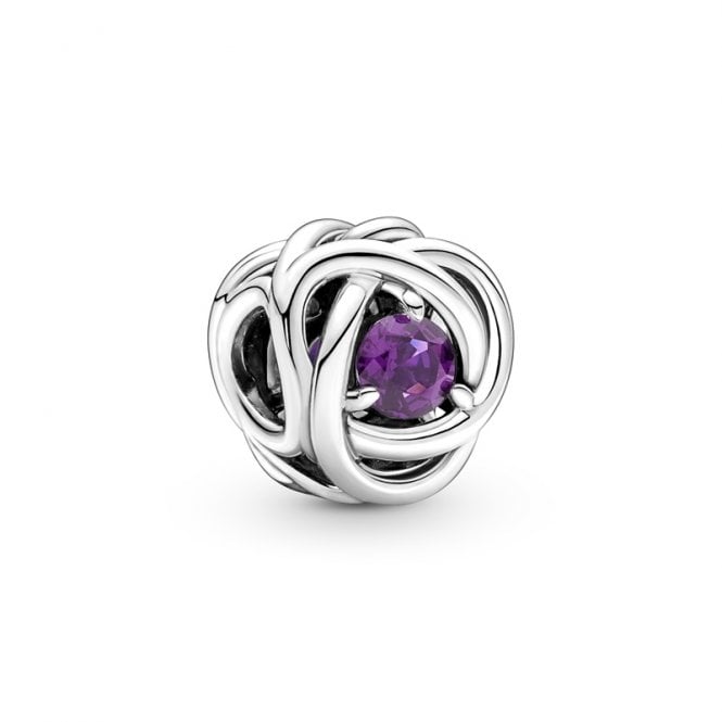 Pandora February Birthstone Eternity Circle Charm 790065C02