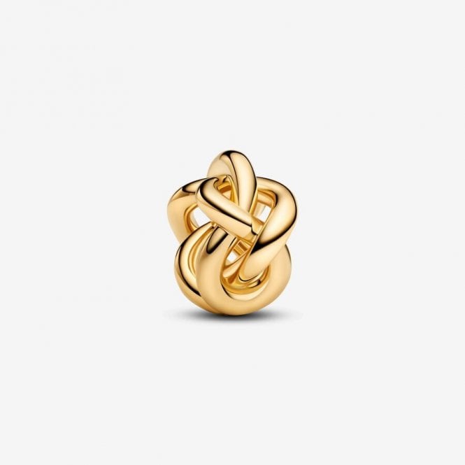 Pandora Infinity Knot Charm 763755C00