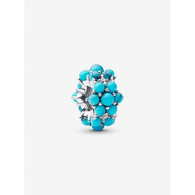 Pandora Turquoise Ocean Charms 793897C02