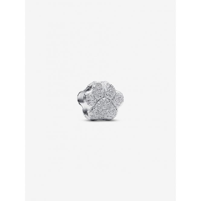 Pandora Textured Paw Mini Charm 794043C00