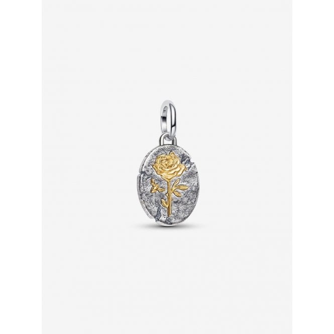 Pandora Rose Medallion Charm 764087C00
