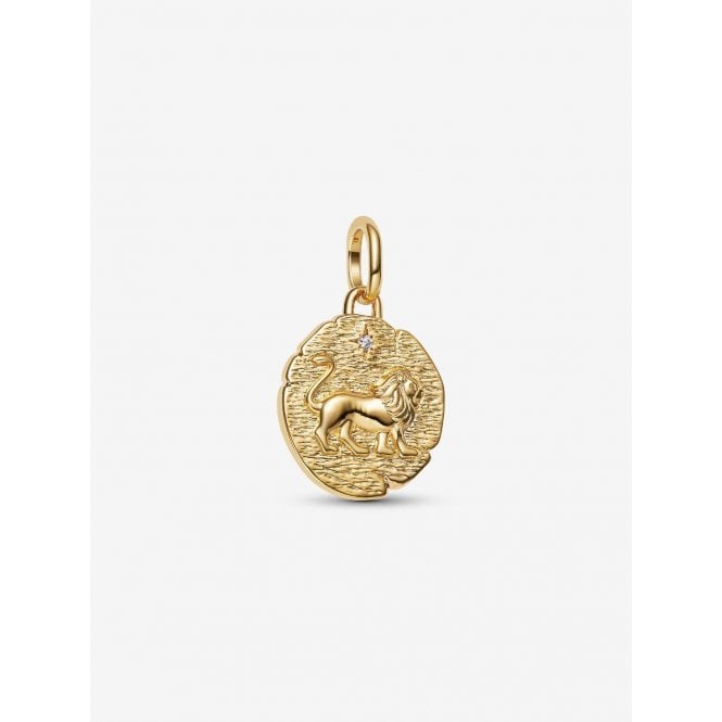 Pandora Lion Medallion Charm 763974C01