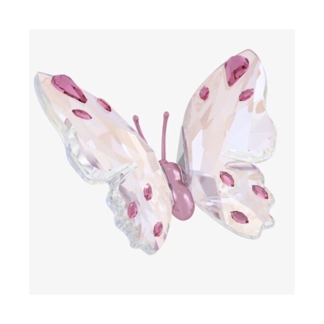 Swarovski Idyllia Butterfly 5691959