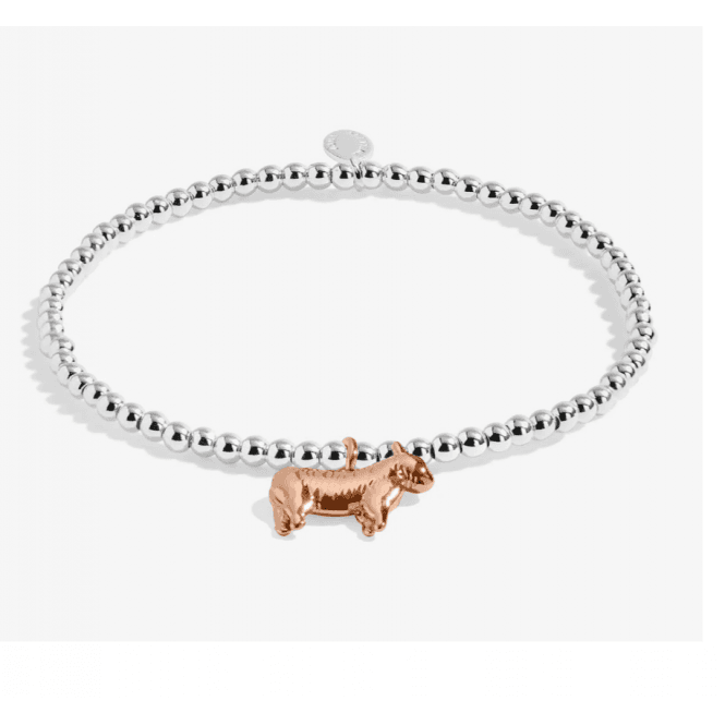 JOMA Jewellery Joma A Wee 'Och Aye The Moo' Scottish Bracelet 9418
