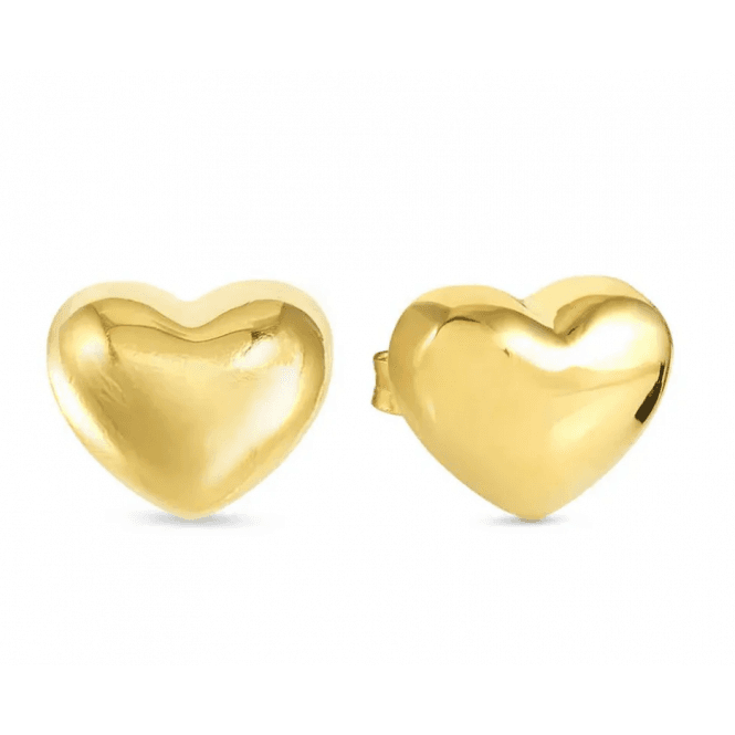 Nomination Jewellery Nomination Armonica Gold Heart Earrings 241308 006