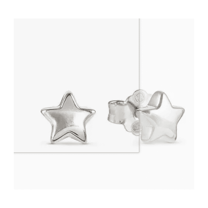 Nomination Jewellery Nomination Armonica Star Silver Earrings 241307 007