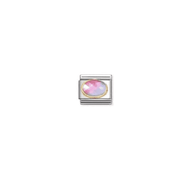 Nomination Jewellery Nomination Family LTBlueRose Oval Face Charm 030612/035