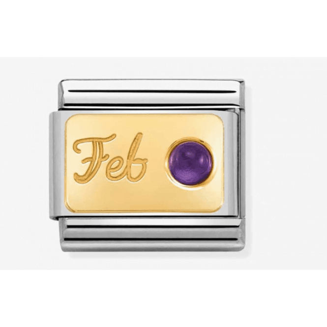 Nomination Jewellery Nomination February Amethyst Composable Charm 030519/02