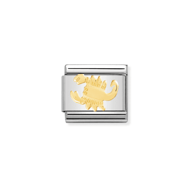 Nomination Jewellery Nomination Scorpio Composable Link Charm 030104 08