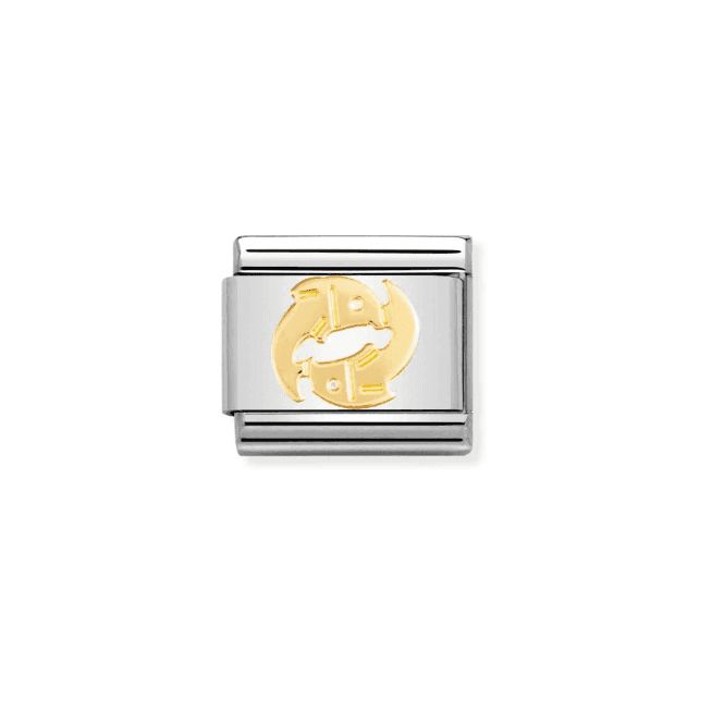 Nomination Jewellery Nomination Aquarius Composable Link Charm 030104 11