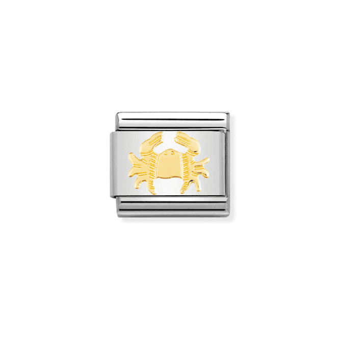 Nomination Jewellery Nomination Cancer Composable Link Charm 030104 04