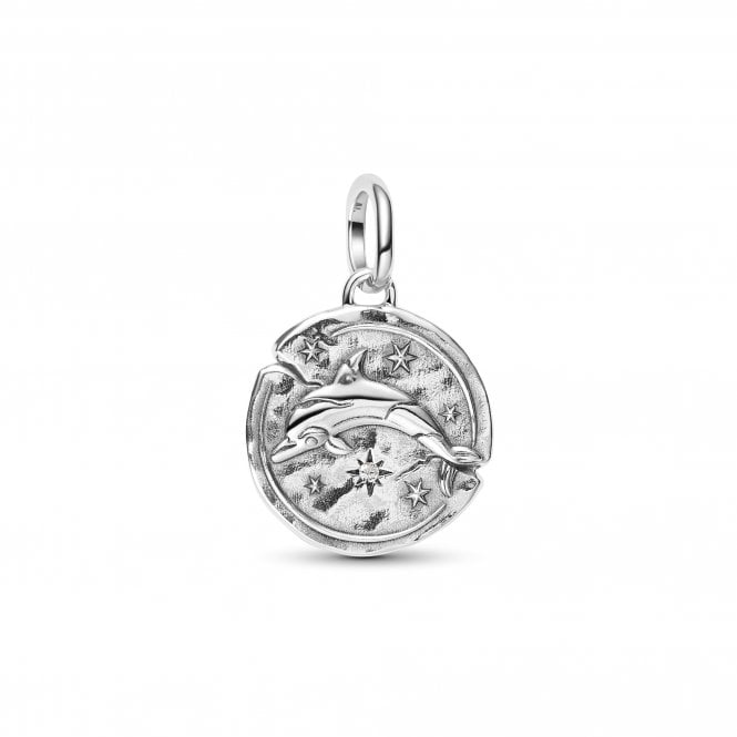 Pandora Dolphin Medallion Charm 794807C01