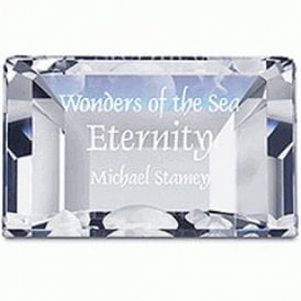 Swarovski SCS Eternity Title 2006 Plaque 855626