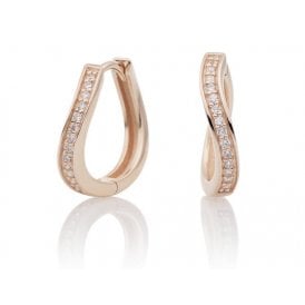 Sparkling Jewels Flare Zirconia Earrings EAG02