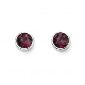 February Birthstone Stud Earrings E5560 by Beginnings