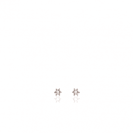 Rose Plated Cubic Zirconia Stud Earrings