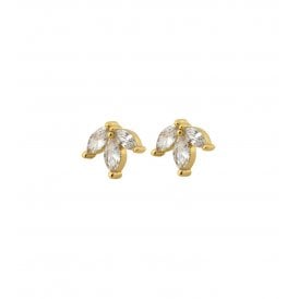 Edblad Laurel Studs Gold 125155