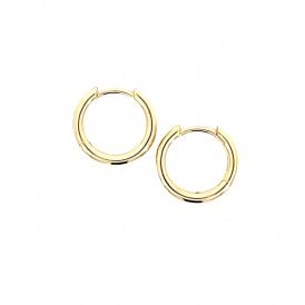 Silver & Gold Plated Hoops