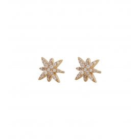 Edblad Gold Plated Small Polaris Studs 126113