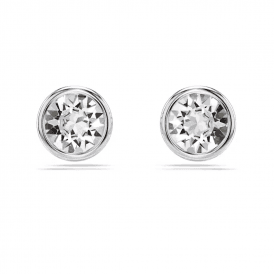 Swarovski Round Cut Imber Stud Earrings 5696073