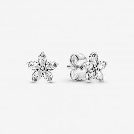 Pandora Timeless Star Stud Earrings 299239C01