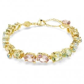 Swarovski Gema Multicoloured Tennis Bracelet 5705808