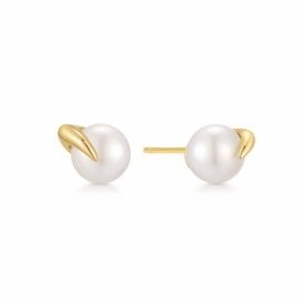 Ania Haie Gold Pearl Claw Stud Earrings E069-01G