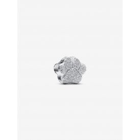Pandora Textured Paw Mini Charm 794043C00