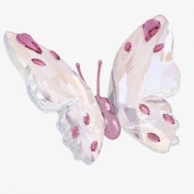 Swarovski Idyllia Butterfly 5691959