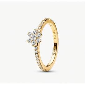 Pandora Sparkling Flower Ring 164499C01