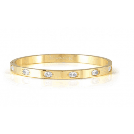 Nomination Small Oval Cubic Zirconia Pretty Bangle 029537 020