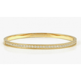 Nomination Small Satin Cubic Zirconia Pretty Bangle 029522 020