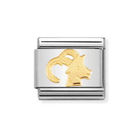 Nomination Capricorn Composable Link Charm 030104 10