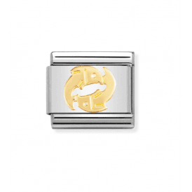 Nomination Pisces Composable Link Charm 030104 12