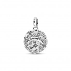 Pandora Dolphin Medallion Charm 794807C01